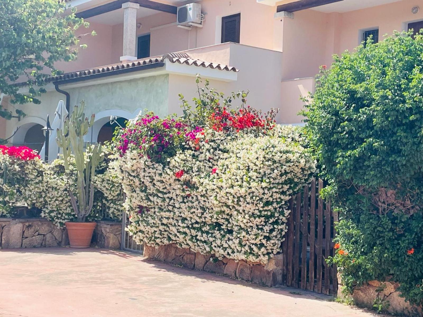 Appartamento Le Querce Vaccileddi Exteriér fotografie